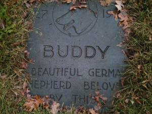 Buddy_blog