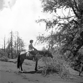 Marcelle R. Hatt on horseback in Mexico, ca 1947.