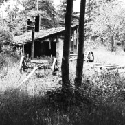 Abandoned building from the House of David Colony on High Island. Photo by Robert Hatt. Courtesy Cranbrook Archives.