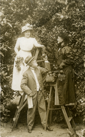 From left: Grace Ellen Booth, Henry Wood Booth, Clara Gagnier Booth picking oranges at Garnett's Orange Grove in St. Augustine, Florida, 1911. Photo by Lewis W. Blair.